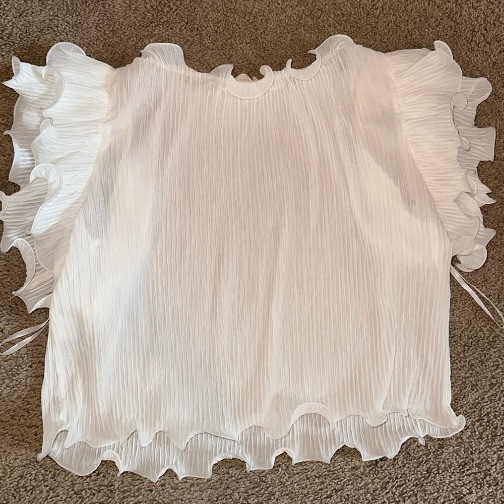 Impeccable Pig sheer ruffle top